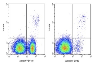 Elabscience®AnnexinV AAD细胞凋亡检测试剂盒E A234 EV450