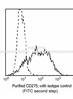 BD Pharmingen™ Purified Mouse Anti-Human CD275 抗体，552501