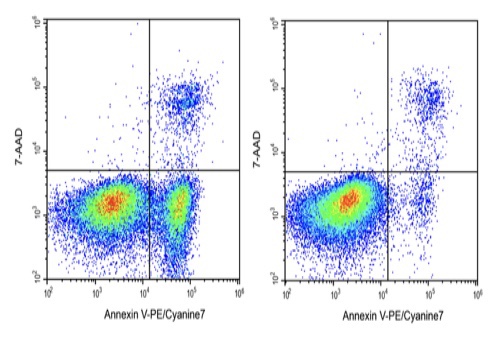 Elabscience Annexin V-PE/Cyanine7/7-AAD细胞凋亡检测E-CK-A228