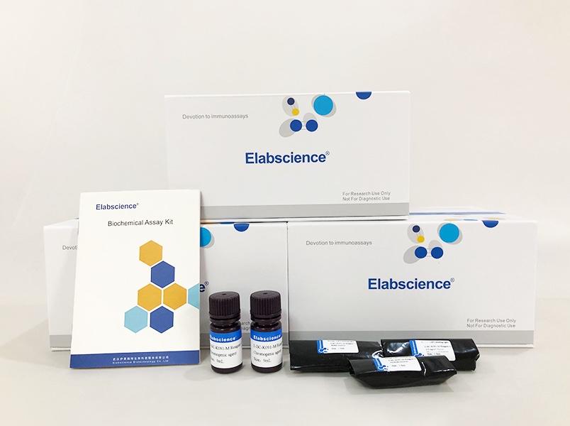 Elabscience® 碱性磷酸酶(ALP)比色法测试盒E-BC-K091-M  48T96T