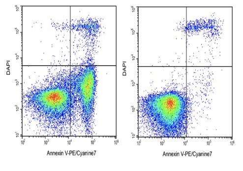 Elabscience® Annexin V-PE/Cyanine7 染色液 E-CK-A127荧光标记