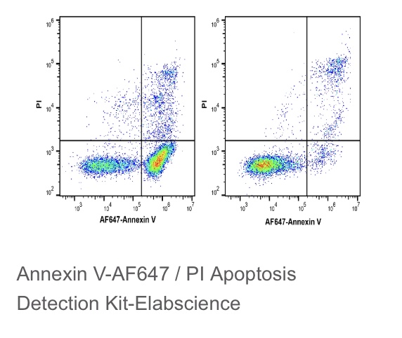 Elabscience®Annexin V-AF647/PI细胞凋亡检测试剂盒，E-CK-A213