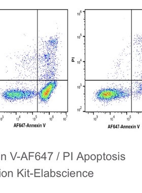 Elabscience®Annexin V-AF647/PI细胞凋亡检测试剂盒，E-CK-A213