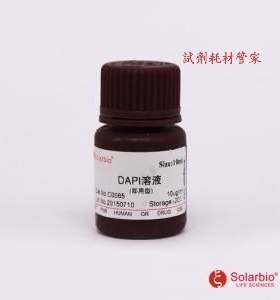 索莱宝 DAPI溶液(10ug/ml即用型)50ml,DAPI solution适用荧光染色