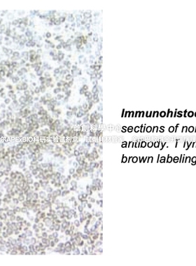 BD Pharmingen™ Purified Mouse Anti-Human CD3，货号550367