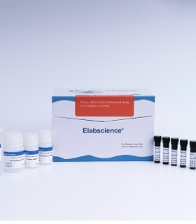 Elabscience® 一步法TUNEL流式凋亡检测试剂盒（红色，AF594）