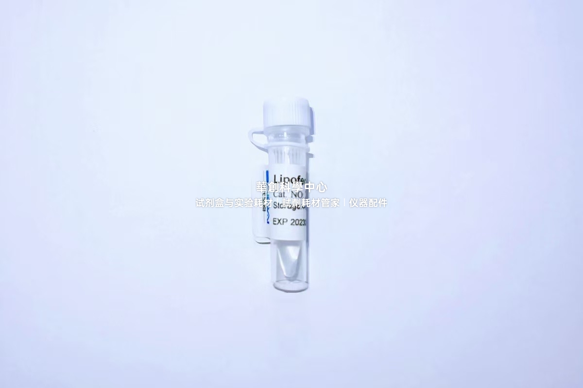 Lipofect5000质粒转染试剂 高性能通用核酸转染试剂将DNA转入细胞