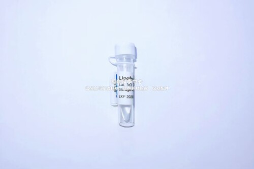 Lipofect5000质粒转染试剂 高性能通用核酸转染试剂将DNA转入细胞