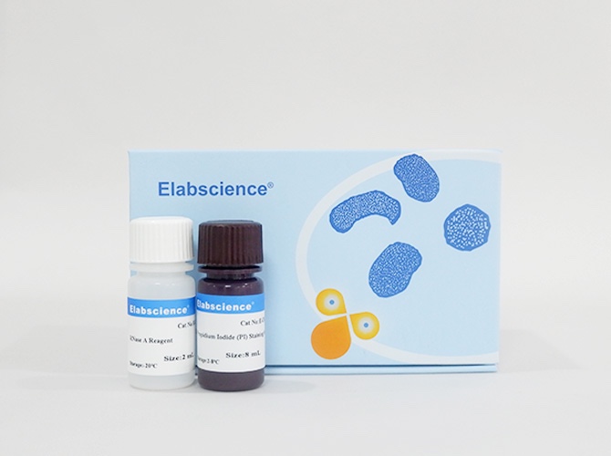 Elabscience® 细胞周期检测试剂盒（DNA含量检测）E-CK-A351