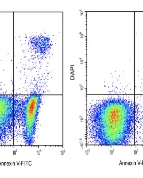 Elabscience®Annexin V-FITC/DAPI细胞凋亡检测试剂盒 E-CK-A252