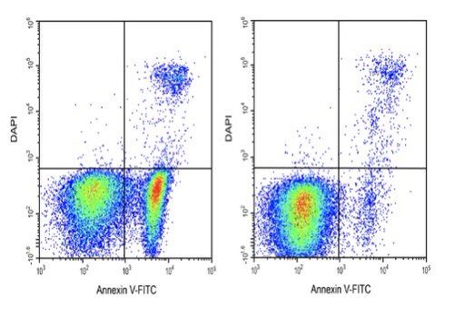 Elabscience®Annexin V-FITC/DAPI细胞凋亡检测试剂盒 E-CK-A252