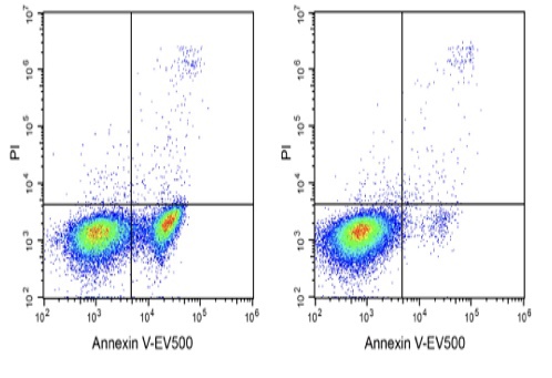 Elabscience细胞培养型Annexin V-EV500冻干粉E-CK-A135U荧光标记