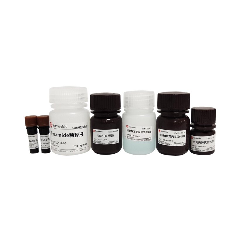Servicebio适用切片免疫荧光双重染色 TSAPLus荧光双重染色试剂盒