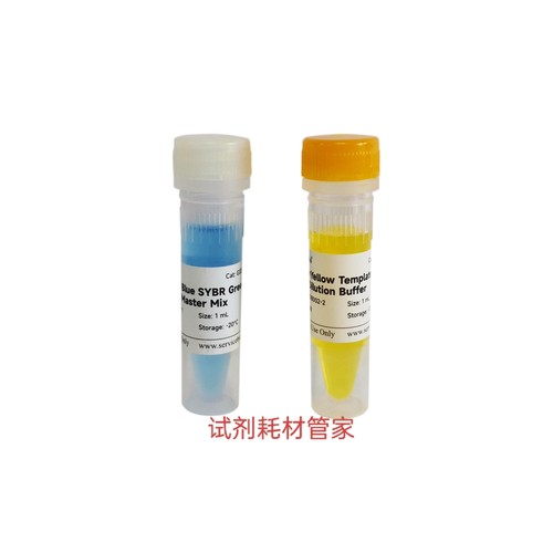 通用型彩色示踪染料法SYBR Green qPCR预混液(2×)基因表达量分析