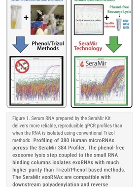 SBI SeraMir外泌体RNA纯化试剂盒RA806A-1，5mL ExoQuick,20preps