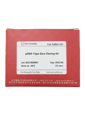 Servicebio零背景Topo克隆试剂盒Zero背景载体 由pUC19载体改造成