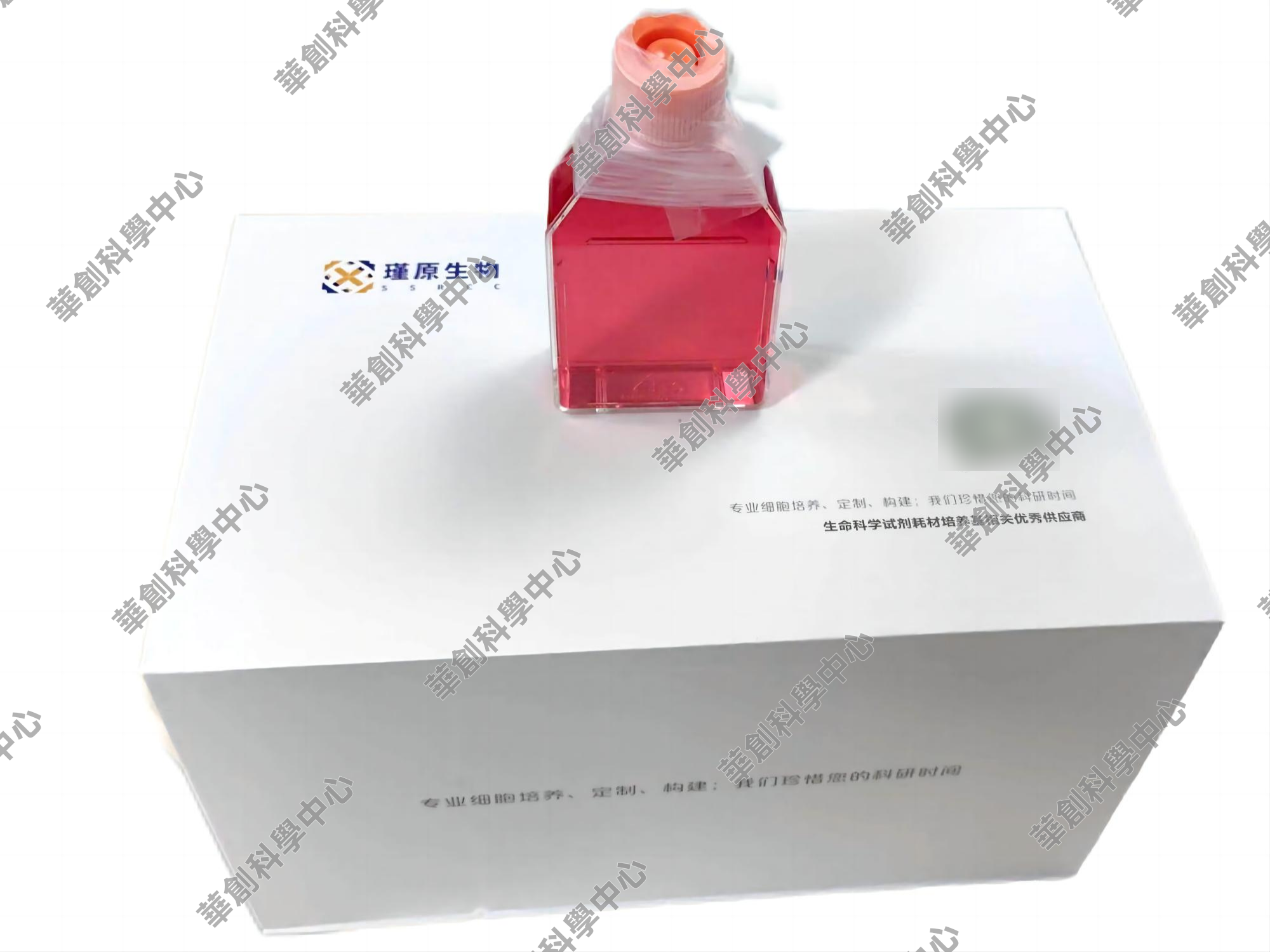 人/小鼠/大鼠子宫内膜上皮细胞,子宫上皮细胞专用培养基,仅供科研