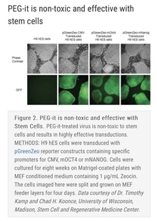 100 SBI 250ml it病毒沉淀液LV810A LV825A PEG