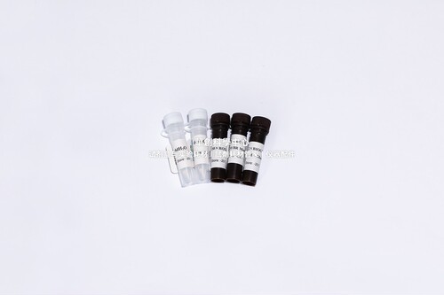 BIOGᴴᒼ染料法荧光定量PCR试剂盒(化学修饰) 检测复杂样本靶基因