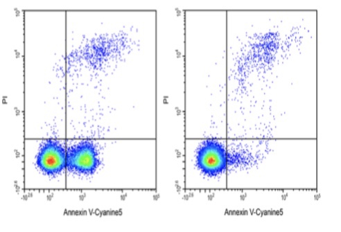 Elabscience®Annexin V-Cyanine5/PI细胞凋亡检测试剂 E-CK-A221