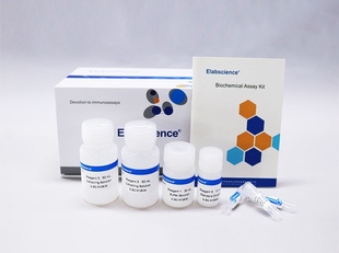 活性比色法测试盒E GGT K126 48T96T 谷氨酰转肽酶