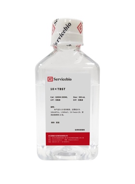 Servicebio TBST缓冲液TBS with Tween-20等渗缓冲盐溶液10×TBST