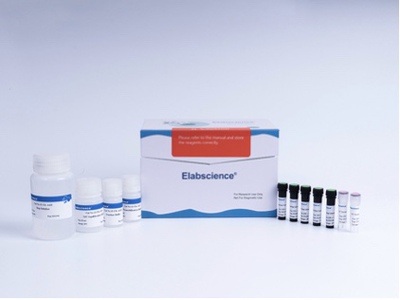 Elabscience® 一步法TUNEL流式凋亡检测试剂盒（绿色，FITC）