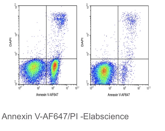 Elabscience®Annexin V-AF647 染色液，E-CK-A113，适用荧光标记