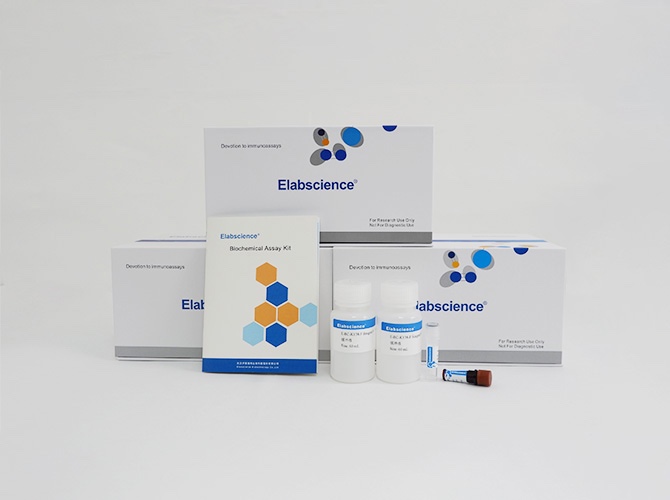 Elabscience®活性氧(ROS)荧光法测试盒E-BC-K138-F荧光酶标仪96T