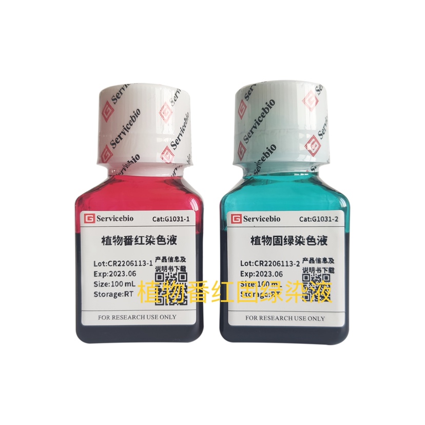 Servicebio植物标本染液 植物番红固绿染液 适用植物根茎叶等组织