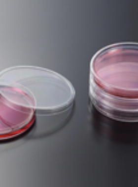 JET/洁特 3.5cm6.0cm7.0cm9.0cm15cm一次性细菌培养皿灭菌SAL10-6