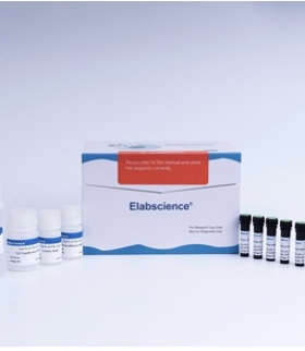 Elabscience® 一步法TUNEL流式凋亡检测试剂盒（红色，AF647）