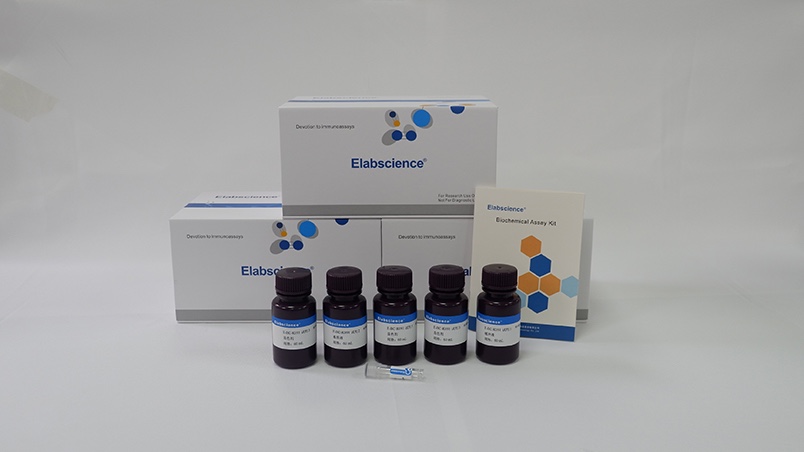 Elabscience®碱性磷酸酶(ALP)比色法测试盒E-BC-K091-S 50assays