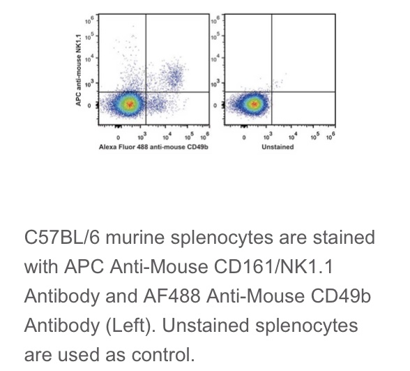 Elabscience®流式抗体C57BL/6鼠属NK细胞APC抗鼠CD161/NK1.1抗体