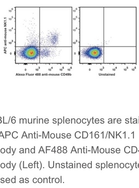 Elabscience®流式抗体C57BL/6鼠属NK细胞APC抗鼠CD161/NK1.1抗体