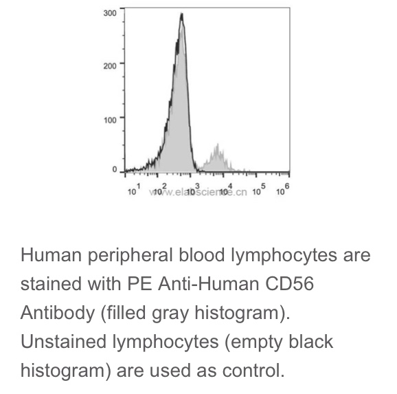 Elabscience®热销流式抗体 人属NK细胞 PE抗人CD56抗体 [MEM188]