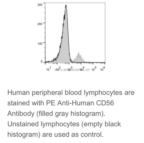 Elabscience®热销流式抗体 人属NK细胞 PE抗人CD56抗体 [MEM188]