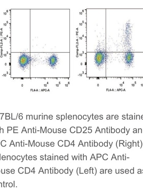 Elabscience®热销抗体 鼠属Treg细胞 PE抗鼠CD25抗体[PC-61.5.3]