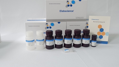 Elabscience® 脯氨酸(Pro)比色法测试盒 E-BC-K177-S，100assays