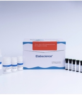 Elabscience® 一步法TUNEL流式凋亡检测试剂盒（蓝色，EV450）