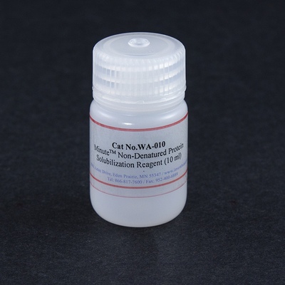 invent Minute™非变性蛋白溶解液WA-010酶活检测,ELISA,IP/Co-IP
