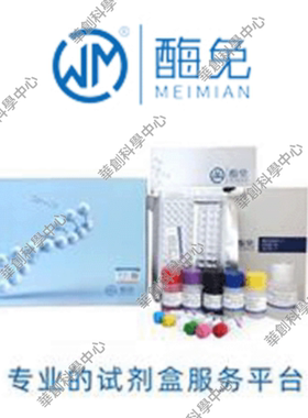 人E选择素(E-Selectin/CD62E)ELISA试剂盒E Selectin/CD62E ELISA