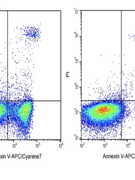 Elabscience®Annexin V-APC/Cyanine7染色液 E-CK-A129 荧光标记
