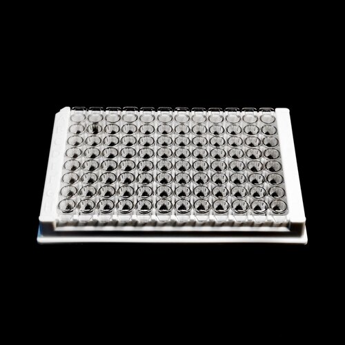 Servicebio高吸附酶标板Elisa Plate 8联孔平底10pcs/袋200pcs/箱