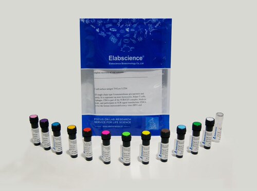 Elabscience® 人属Th1/Th2/Th17细胞 ER780抗人CD4抗体 [RPA-T4]