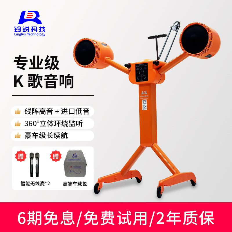 LR铃锐2101-D8移动户外音响便携式k歌功放一体机蓝牙音箱家庭ktv