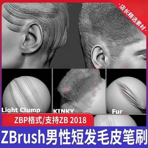 5款Zbrush写实白人黑人男性直发卷发眉毛胡须毛髻Zb雕刻笔刷ZBP