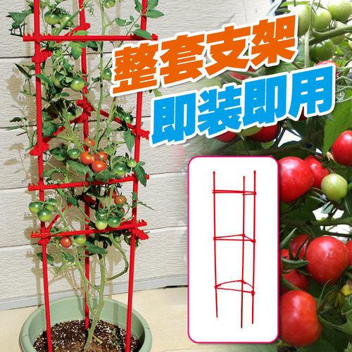 海山爬藤种植支柱套件网植物攀爬架藤蔓番茄地面花卉绿植包塑花园