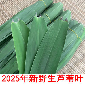 下单才去摘】野生现摘现发新鲜粽叶2025年新芦苇叶非娄叶竹叶批发