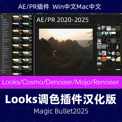 AE/PR插件looks2025调色视频预设汉化Magic Bullet滤镜素材winmac